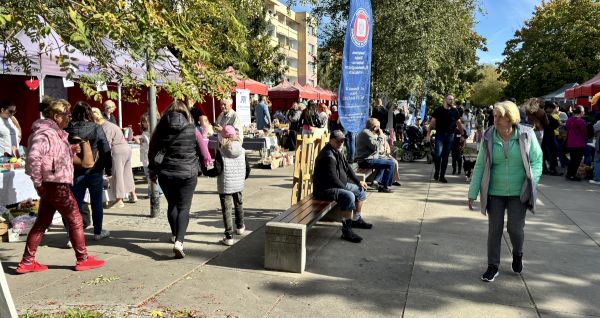 Piknik Organizacjo Pozarzadowych - zdjęcie z 2025 r. - po bokach stoiska a środkiem spacerują odwiedzający