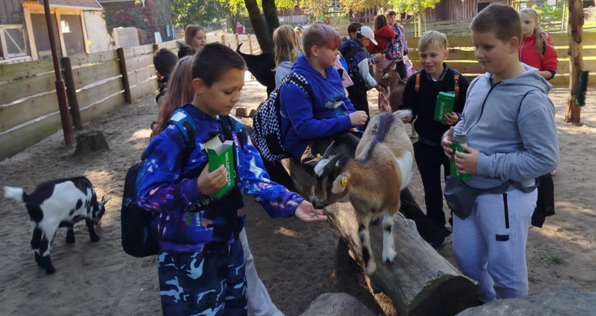 grupa dzieci karmi zwierzę