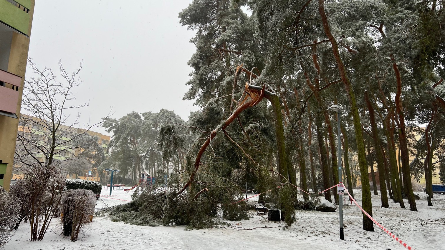 Park przy ul. Mieszka i połamane gałęzie drzew
