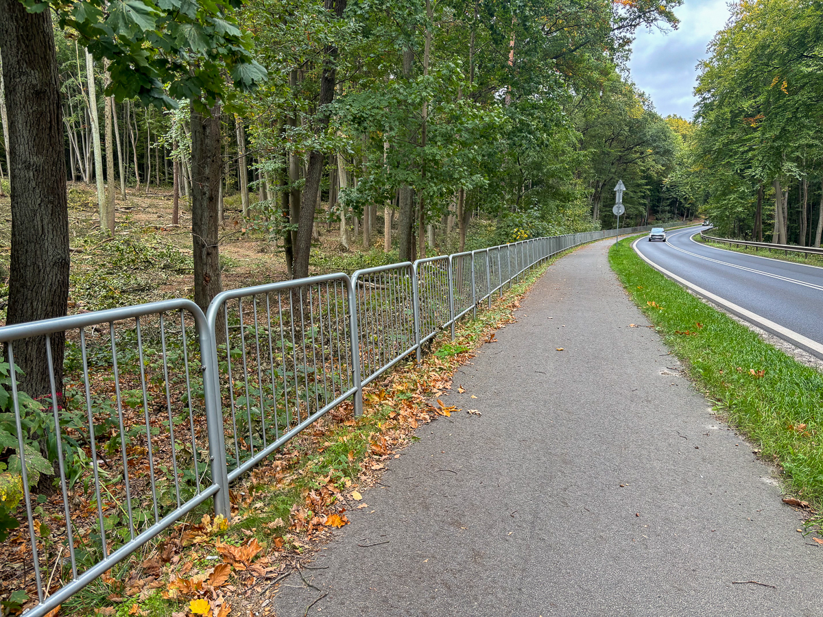 Widok na ścieżkę rowerową biegnącą przez las, po prawej stronie ulica, po lewej barierki i las