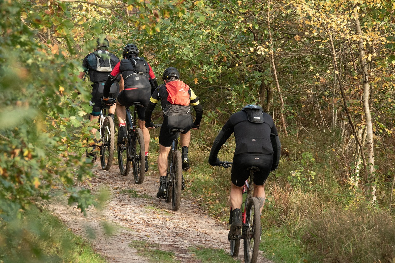 Czterech rowerzystów jedzie leśną ścieżką