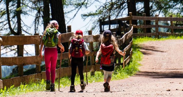 Trzy młode osoby z plecakami i kijkami na szlaku, tyłem