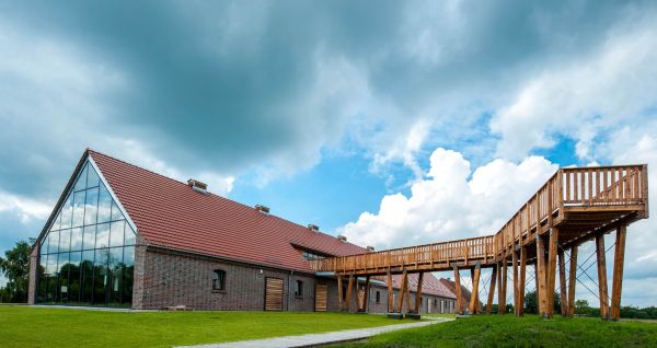 TOEE w Zalesiu – miejsce, gdzie natura inspiruje małych i dużych odkrywców