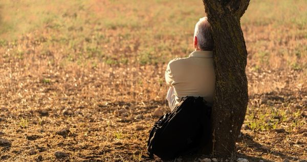 osoba siedzi tyłem oparta o pień drzewa