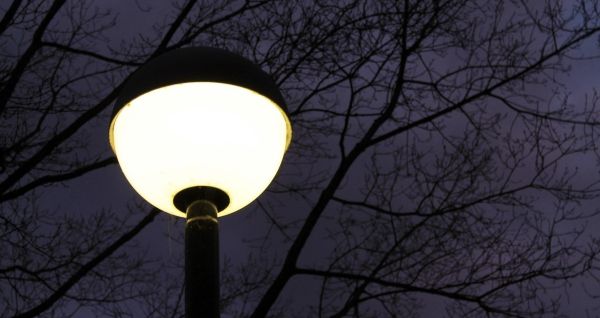 Święcąca lampa uliczna, w tle gałęzie drzewa
