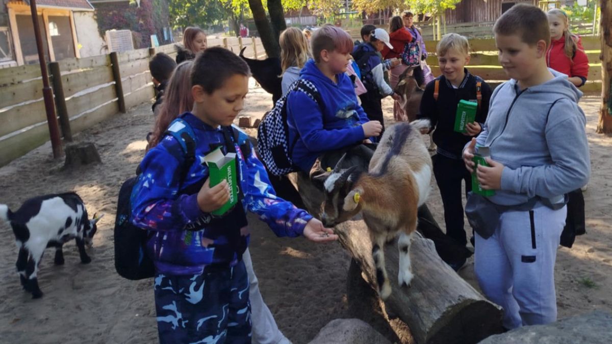 grupa dzieci karmi zwierzę