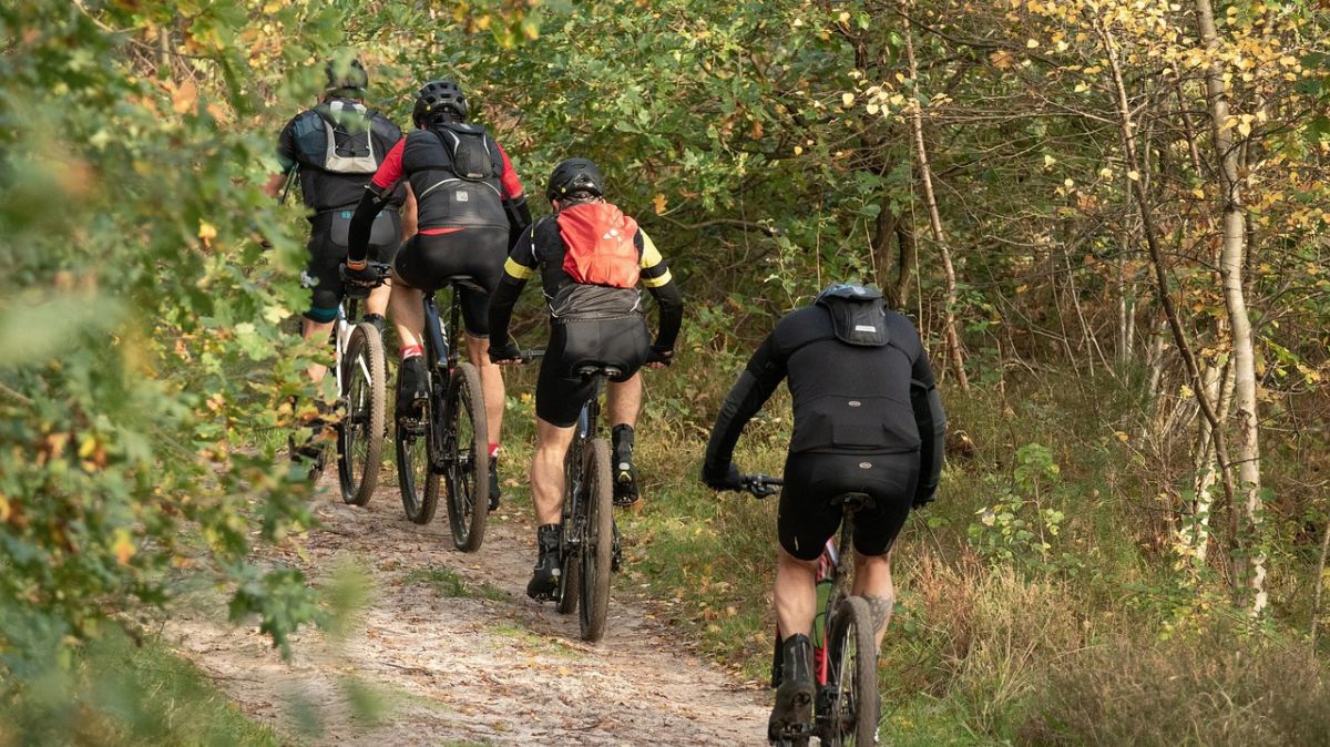 Czterech rowerzystów jedzie leśną ścieżką