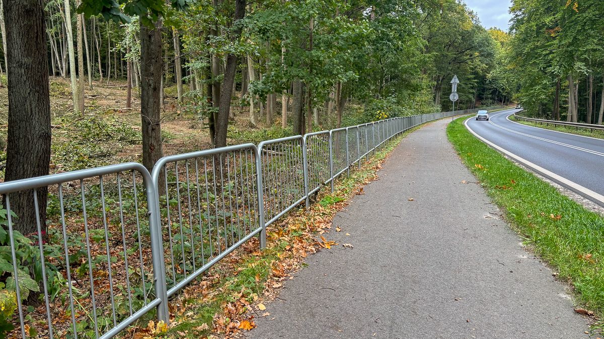 Widok na ścieżkę rowerową przy ul. Przęsocińskiej, z lewej las, z prawej strony jezdnia