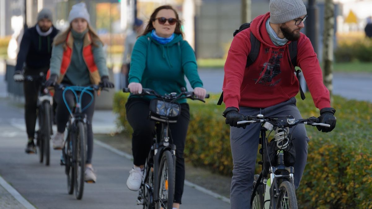 cztery osoby jadą na rowerach po ścieżce rowerowej