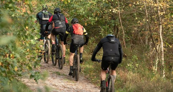 Czterech rowerzystów jedzie leśną ścieżką