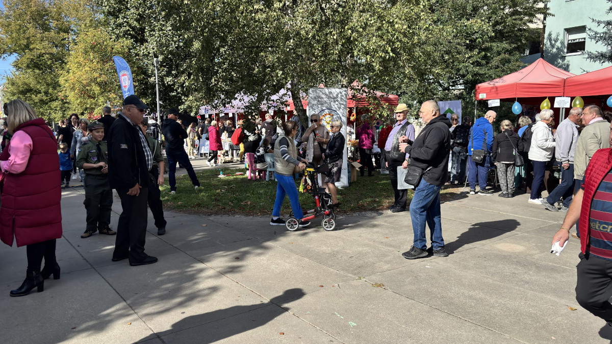 Piknik Organizacji Pozarządowych „Społeczna Siła”